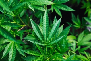 Areas we recommend installations