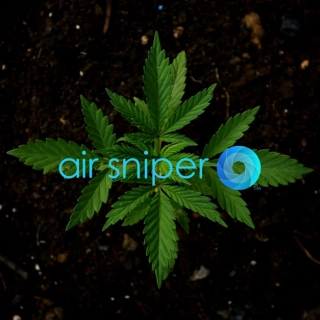 The Importance of Proximity and Intensity When Irradiating Pathogens