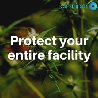 Cannabis Business Times Shares 8 tips for Air Purification Inside Your Grow