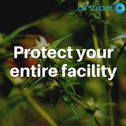 Cannabis Business Times Shares 8 tips for Air Purification Inside Your Grow