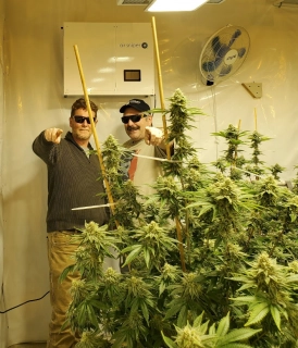 Air Sniper and How It’s Made with Remo Nutrients